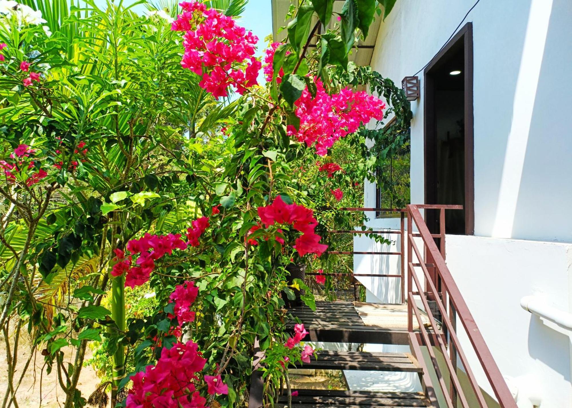 Alma Homestay Марарикулам Екстериор снимка